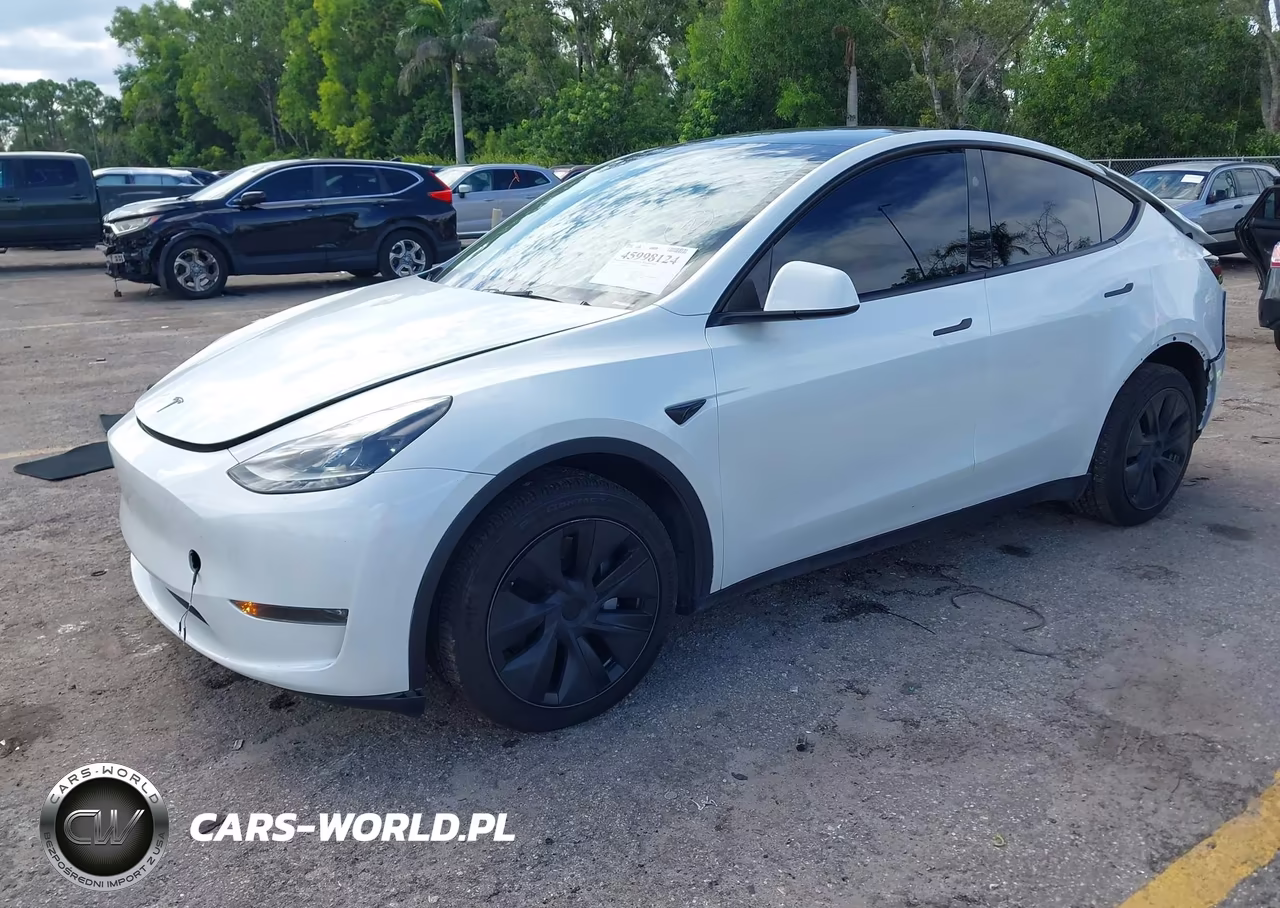2025 Tesla Model Y Long Range Dual Motor All-Wheel Drive VIN:7SAYGDEE0SA344376 - 2