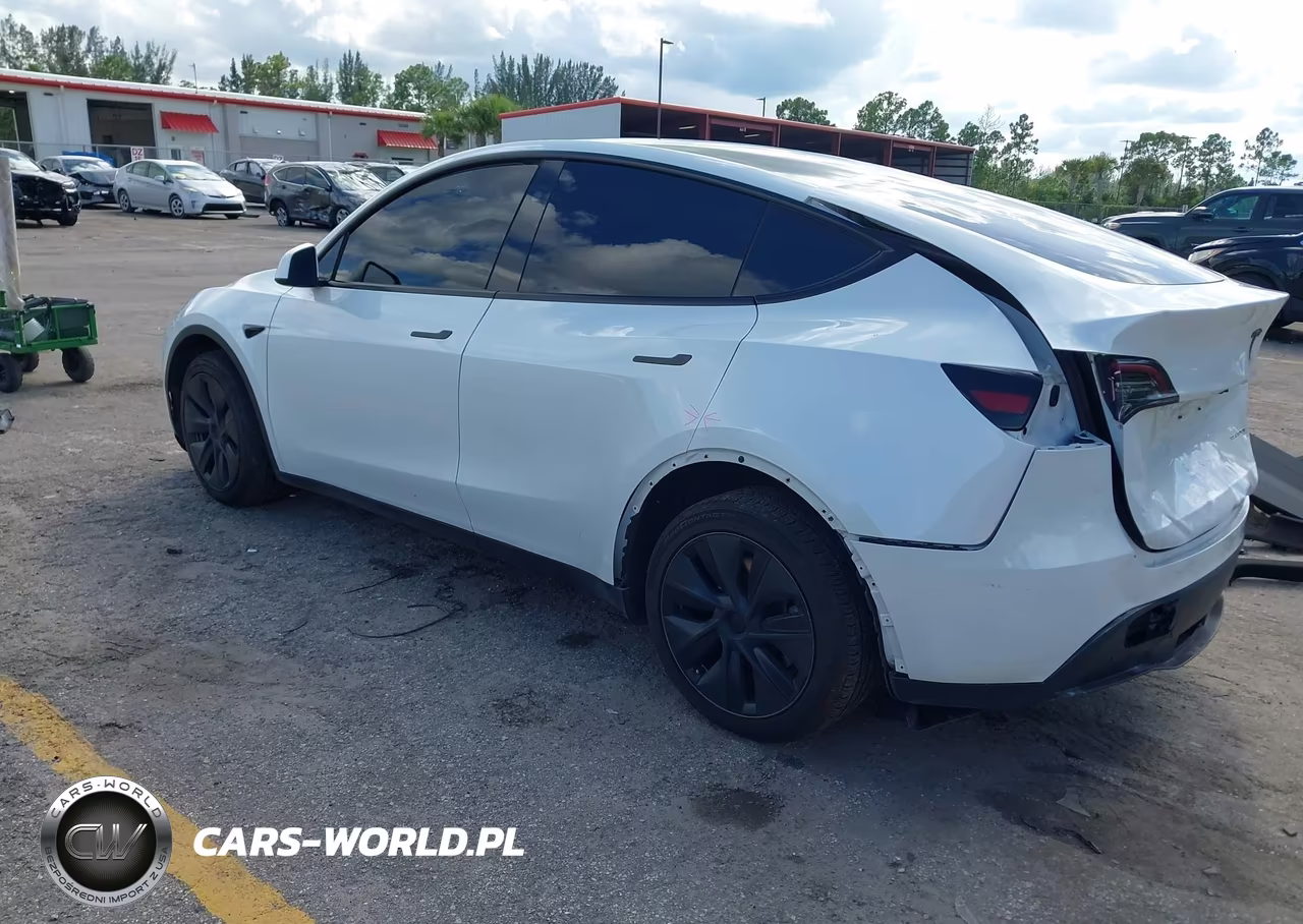 2025 Tesla Model Y Long Range Dual Motor All-Wheel Drive VIN:7SAYGDEE0SA344376 - 3