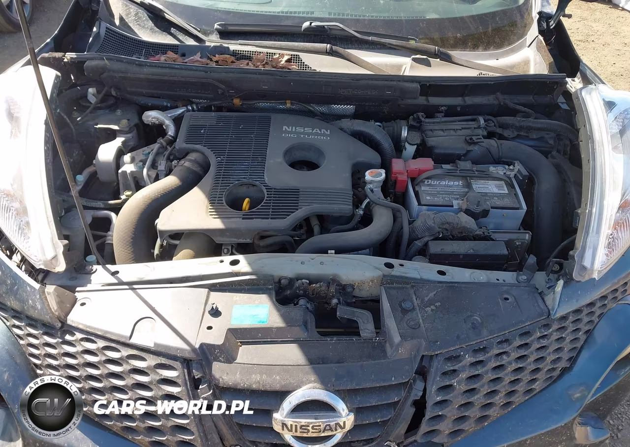 2013 Nissan Juke Sv VIN:JN8AF5MVXDT228621 - 10