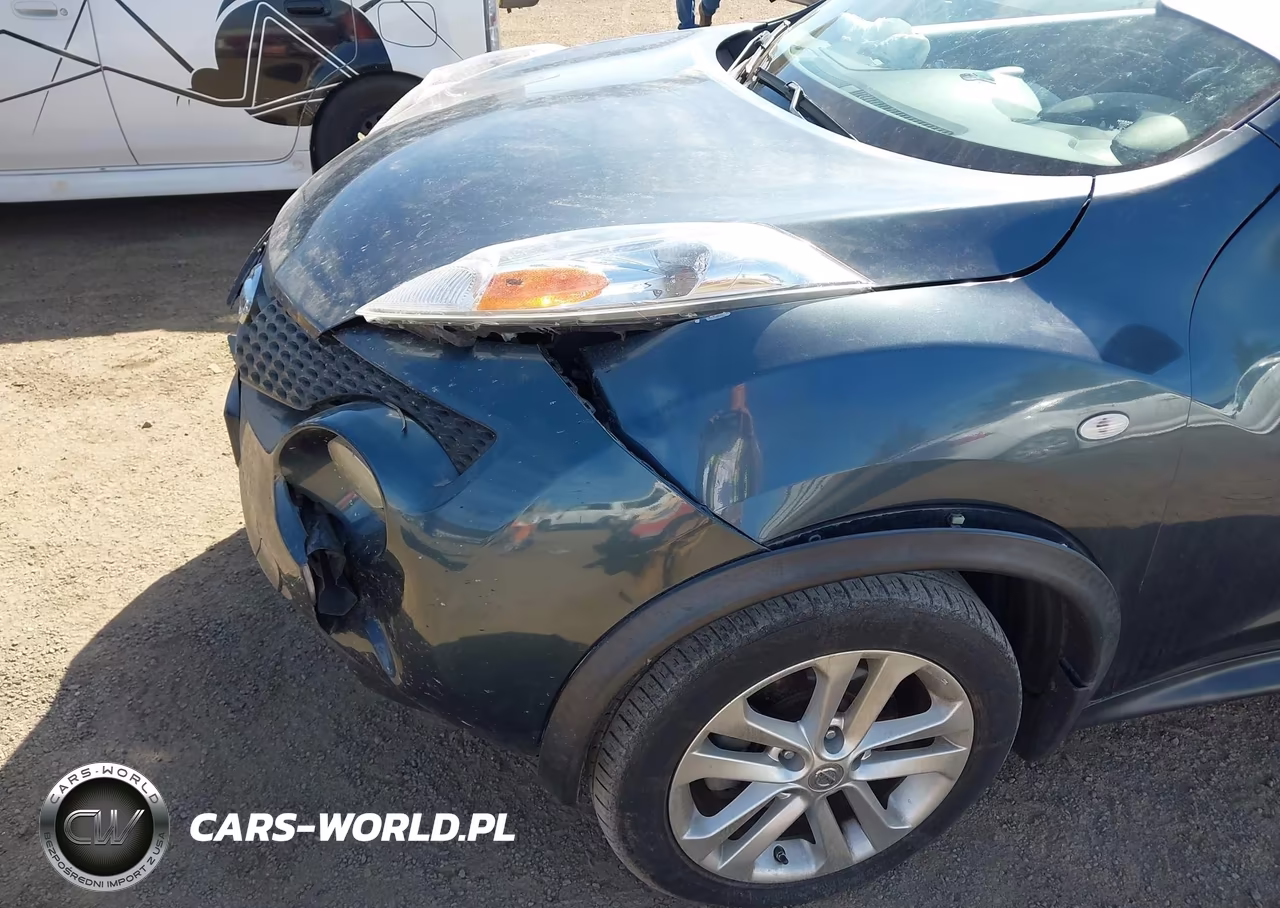 2013 Nissan Juke Sv VIN:JN8AF5MVXDT228621 - 12