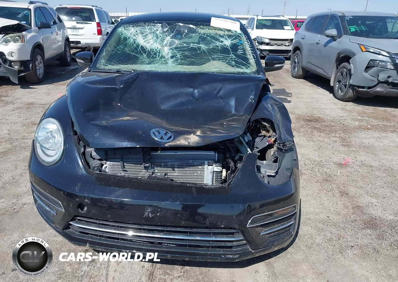 2019 Volkswagen Beetle 2.0T Se VIN:3VWJD7AT1KM712055 - 12