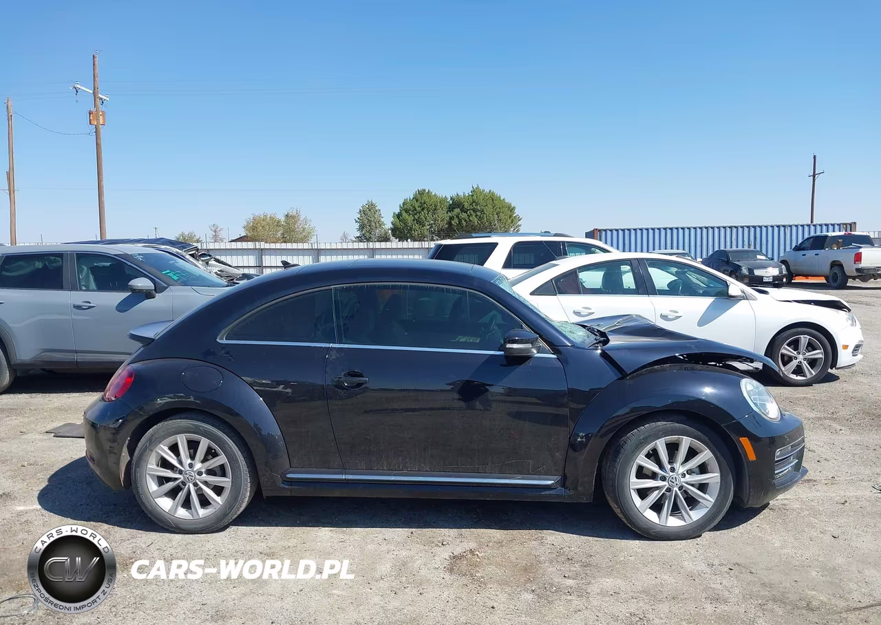 2019 Volkswagen Beetle 2.0T Se VIN:3VWJD7AT1KM712055 - 13