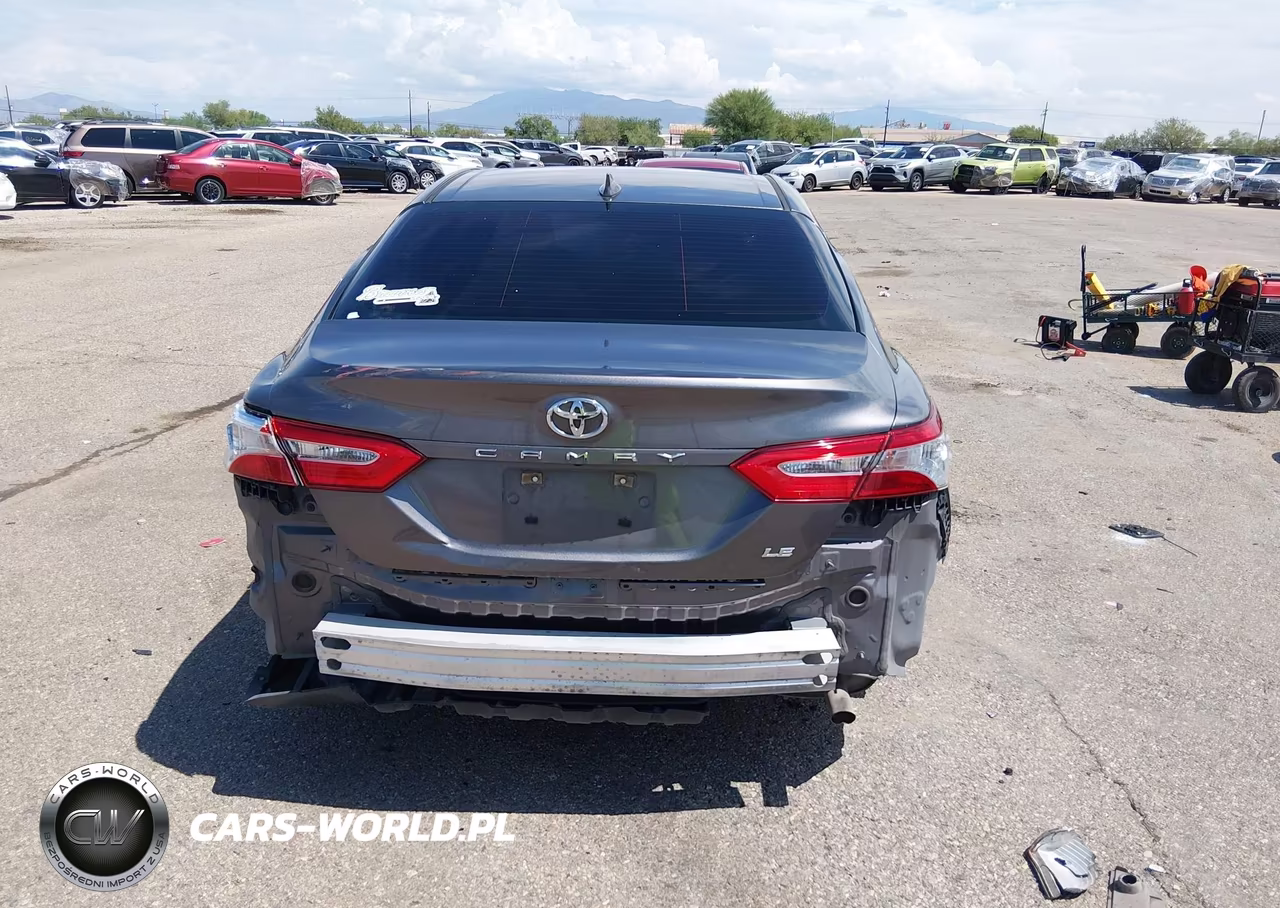 2020 Toyota Camry Le VIN:4T1C11AK2LU917529 - 17