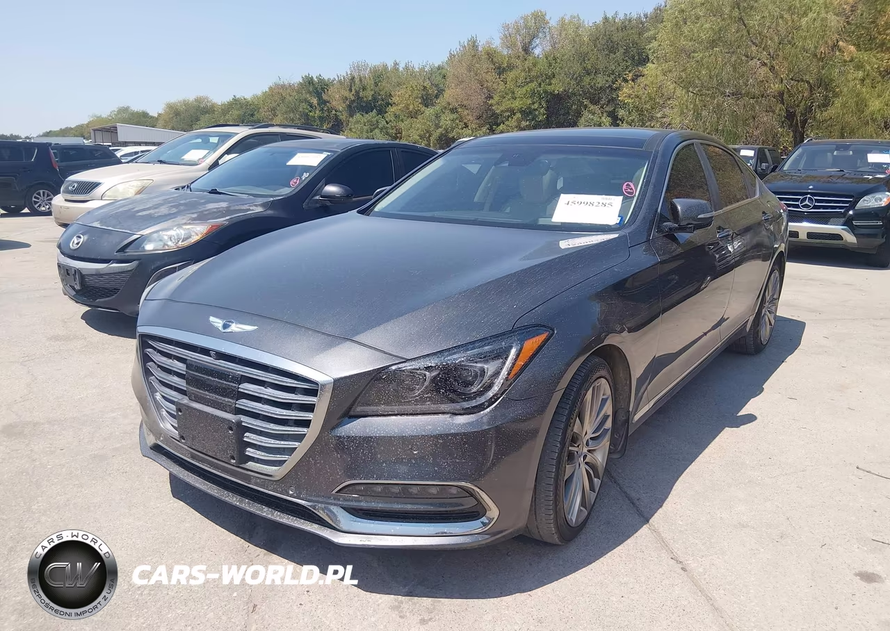 GENESIS G80 VIN:KMHGN4JF2JU266314 - 2