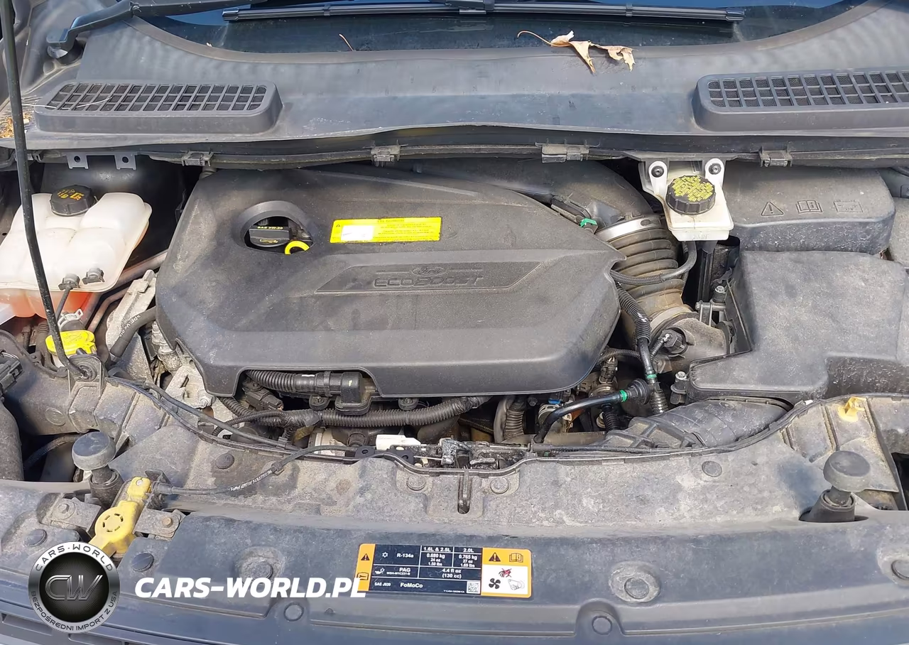 2015 Ford Escape Se VIN:1FMCU9GX9FUC18492 - 10