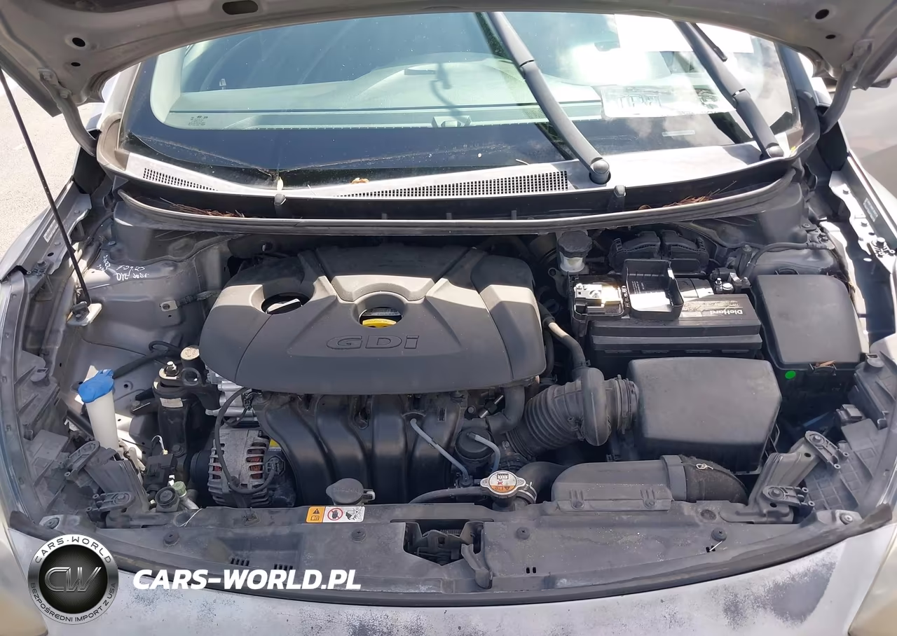 2015 Hyundai Elantra Gt VIN:KMHD35LH4FU243234 - 10