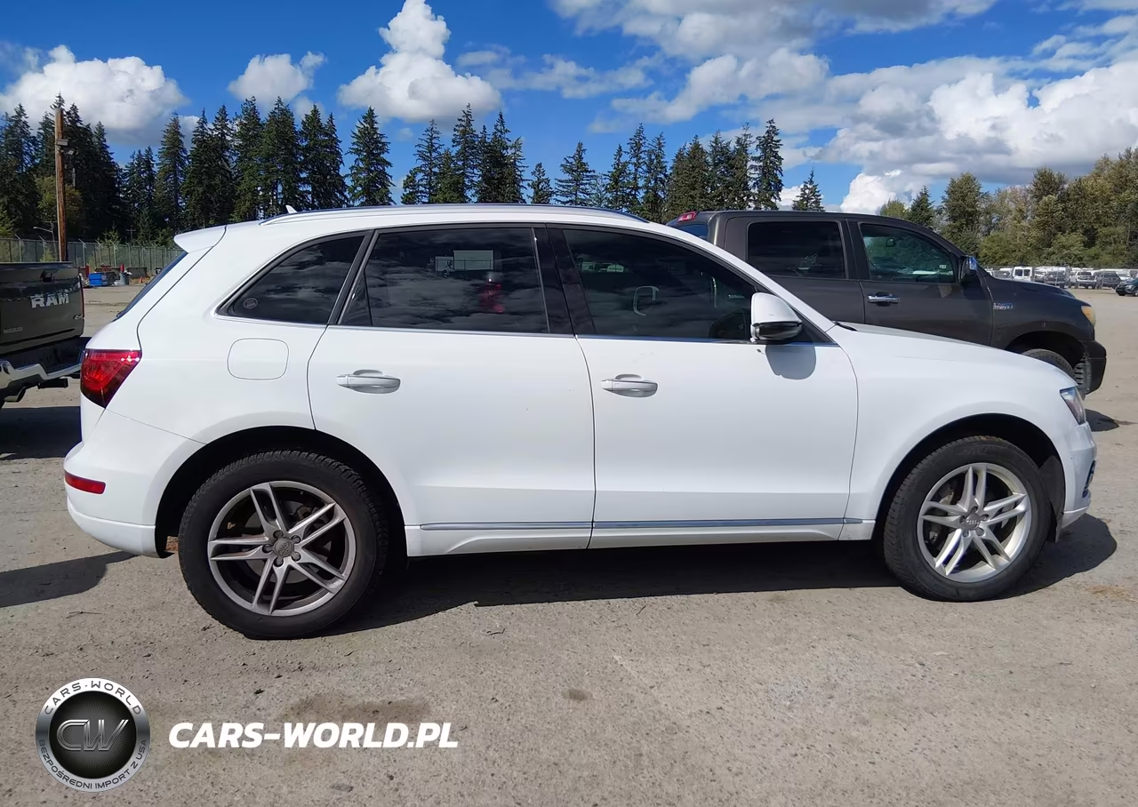 2015 Audi Q5 3.0 Tdi Premium Plus VIN:WA1CMAFP6FA014218 - 13