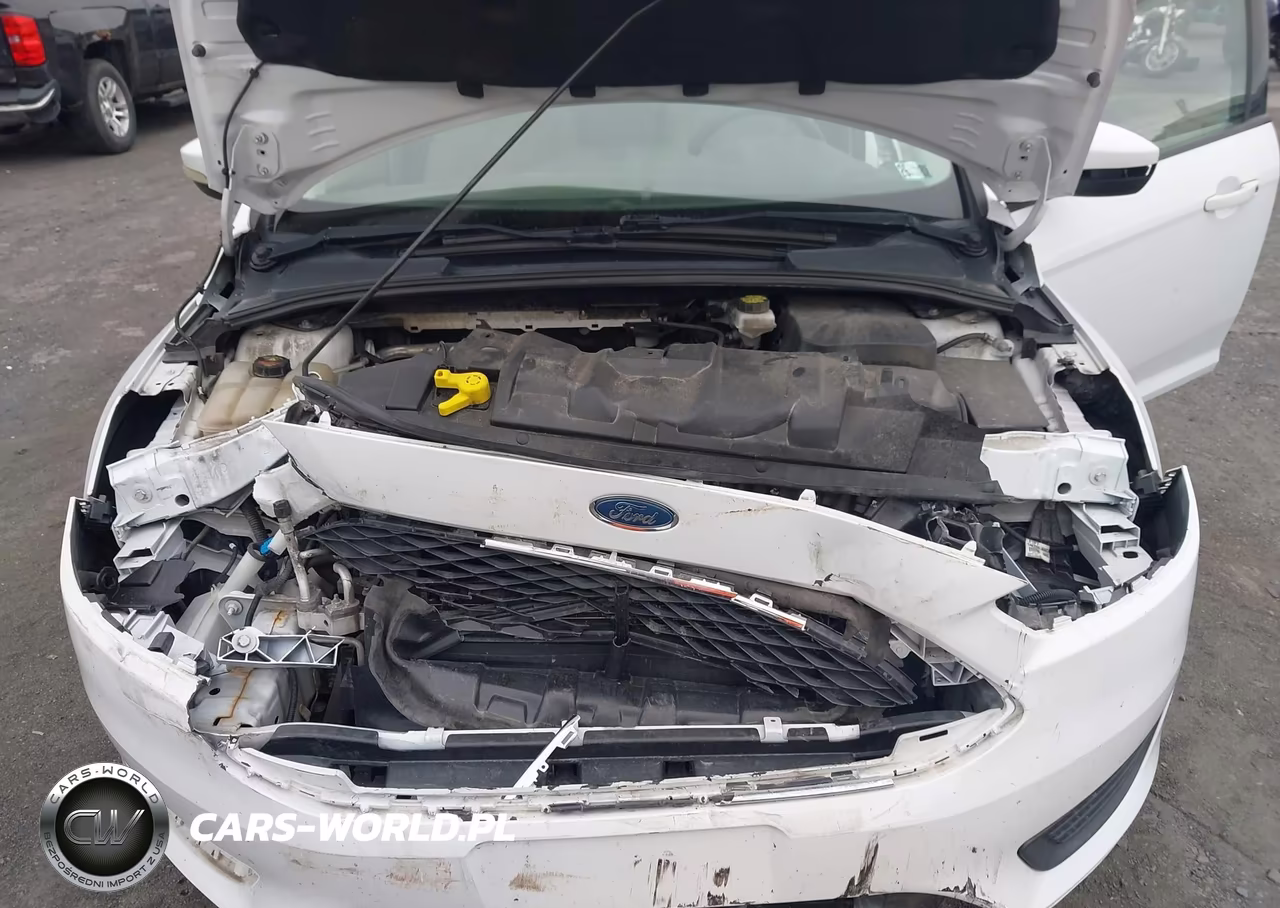 2017 Ford Focus Se VIN:1FADP3K25HL316880 - 10