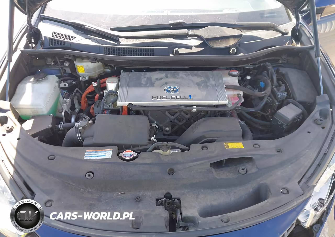 2017 Toyota Mirai VIN:JTDBVRBD2HA003163 - 10