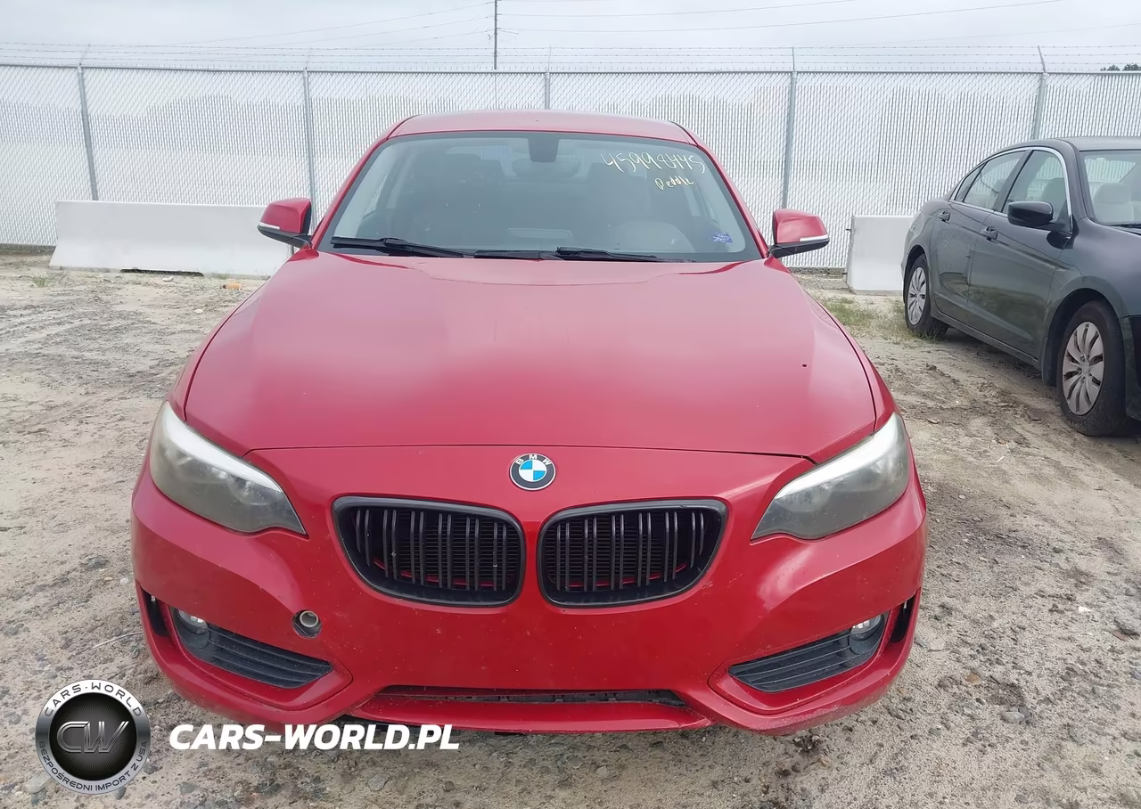 2014 BMW 228I VIN:WBA1F5C55EV255788 - 12