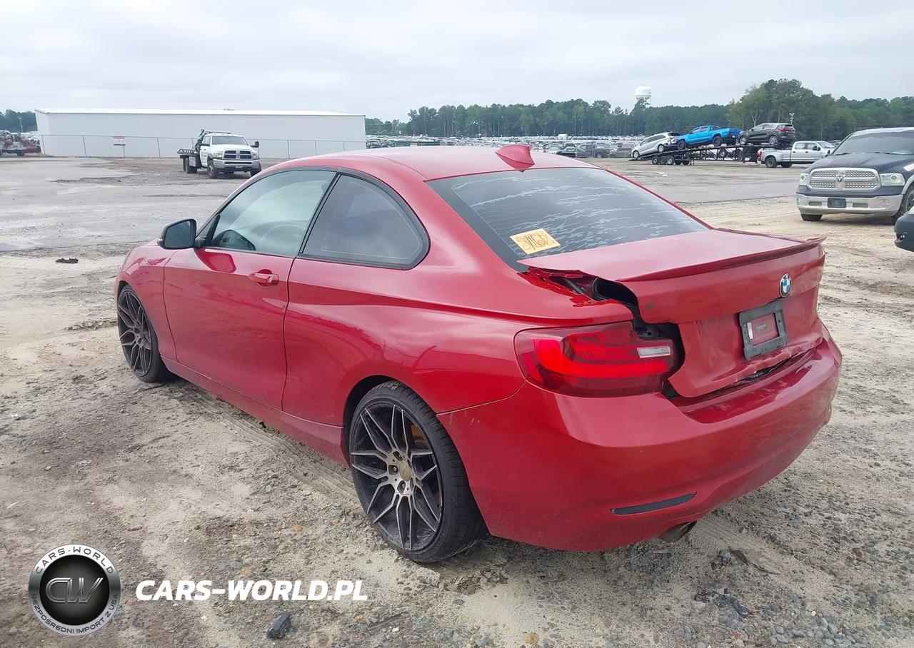2014 BMW 228I VIN:WBA1F5C55EV255788 - 3