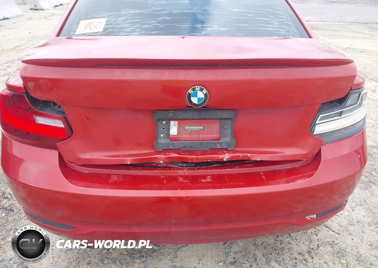 2014 BMW 228I VIN:WBA1F5C55EV255788 - 6