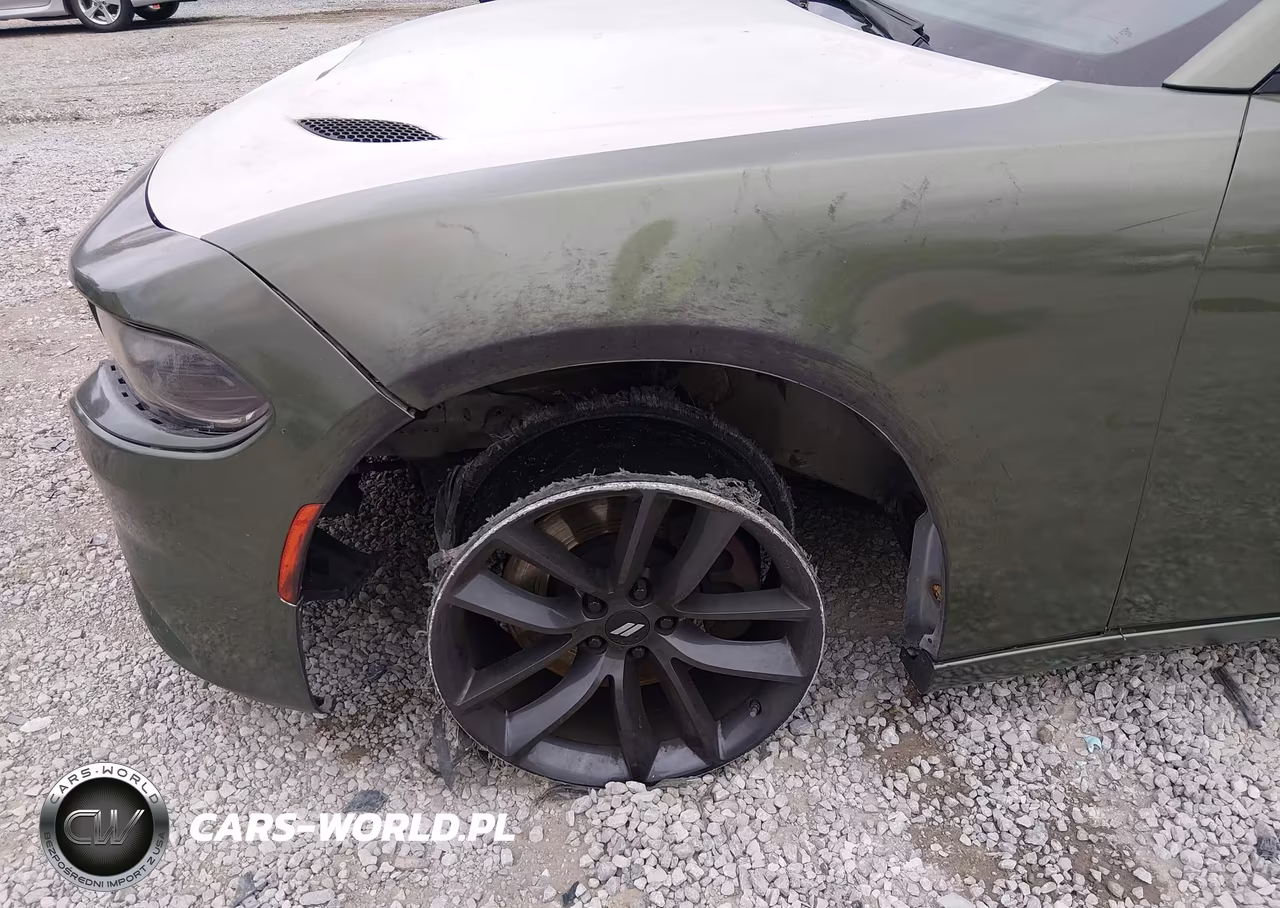 2015 Dodge Charger Police VIN:2C3CDXAT3FH826241 - 6