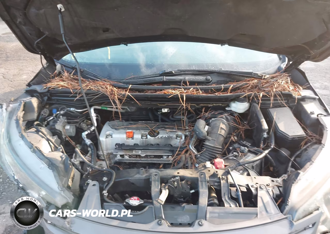 2014 Honda Cr-V Ex VIN:5J6RM4H58EL074883 - 10