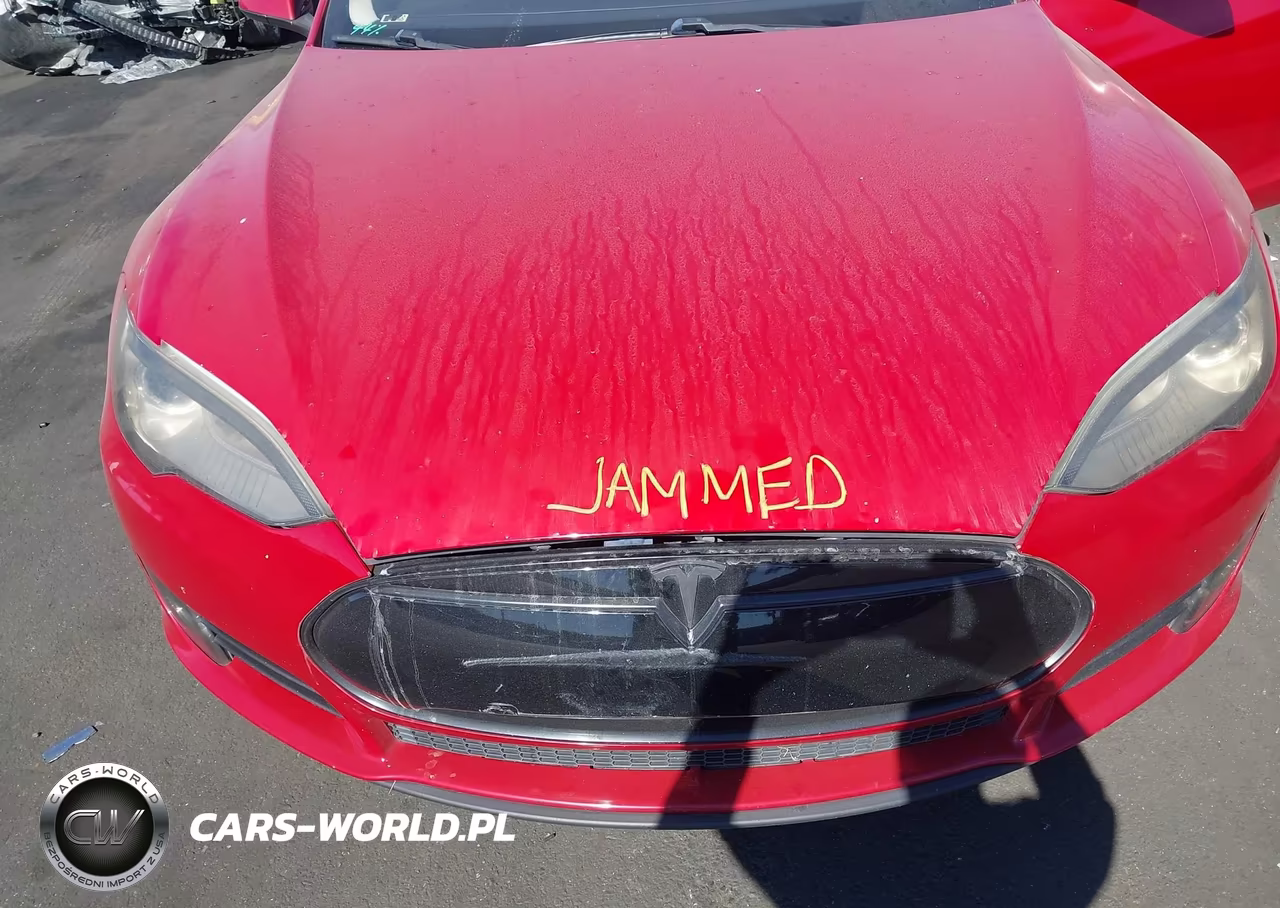 2013 Tesla Model S Performance VIN:5YJSA1DP0DFP09635 - 10