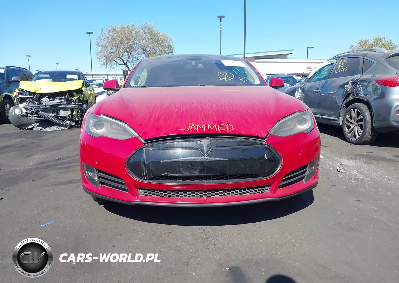 2013 Tesla Model S Performance VIN:5YJSA1DP0DFP09635 - 12