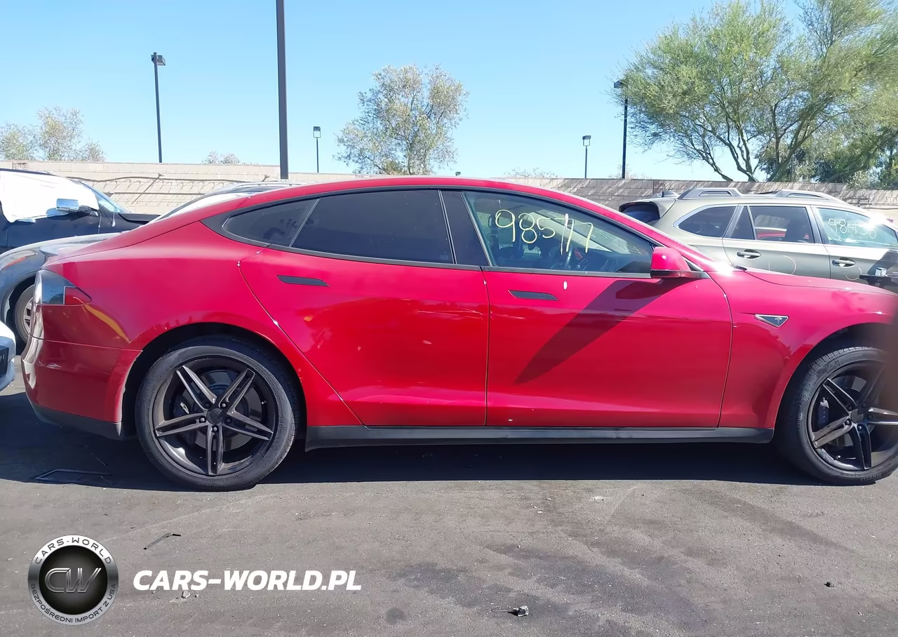 2013 Tesla Model S Performance VIN:5YJSA1DP0DFP09635 - 13
