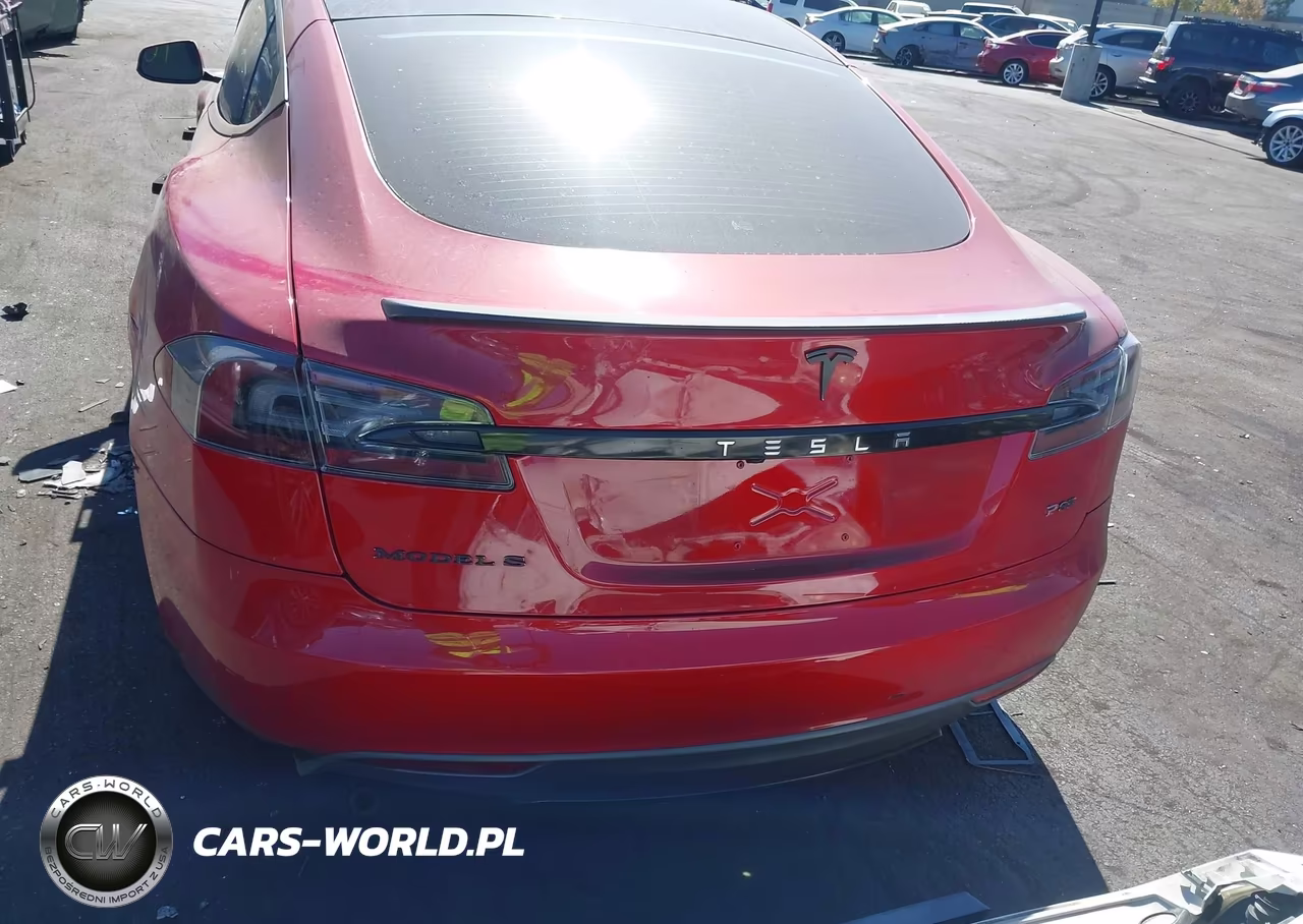 2013 Tesla Model S Performance VIN:5YJSA1DP0DFP09635 - 16