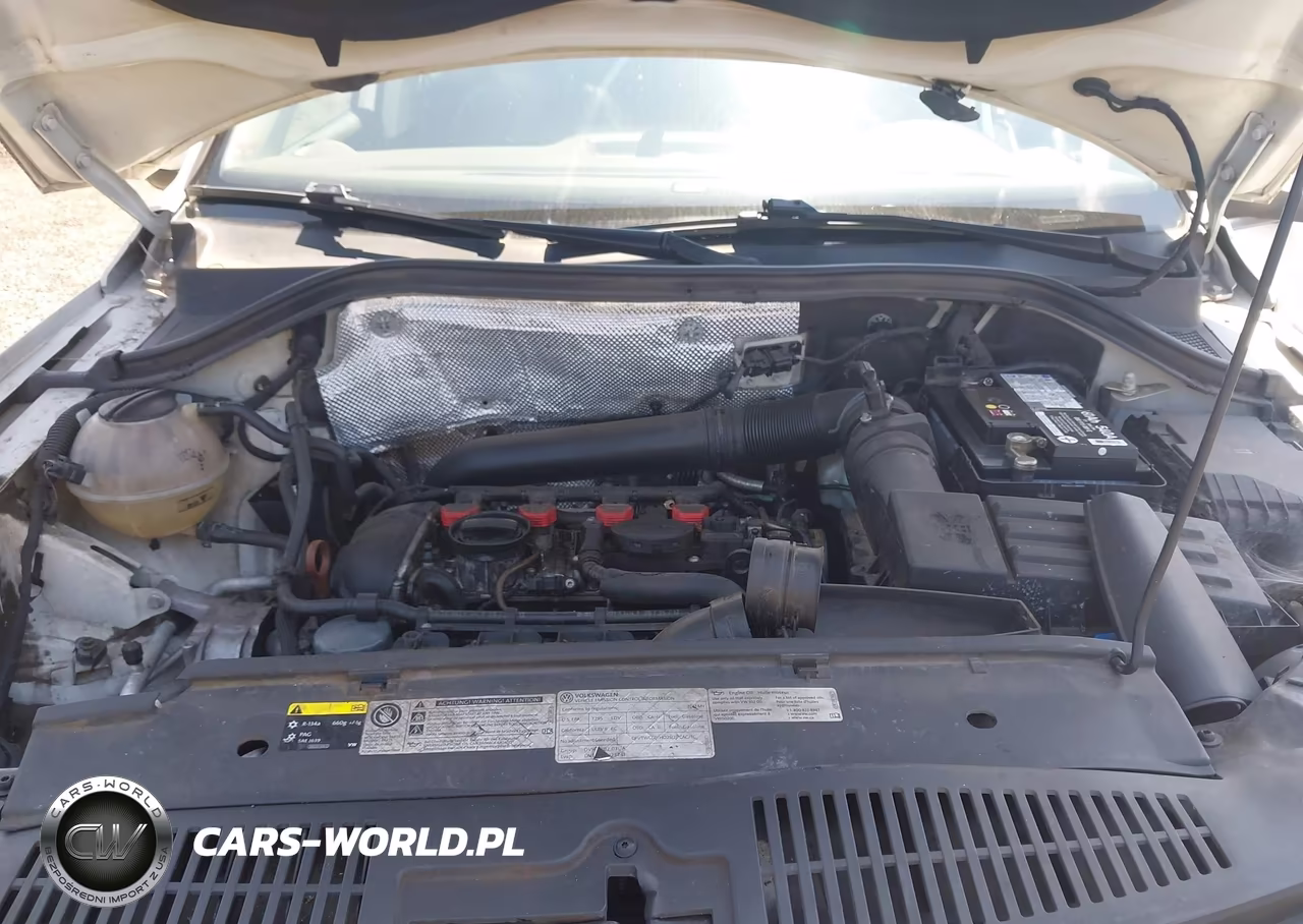 2013 Volkswagen Tiguan Se VIN:WVGAV7AX9DW547731 - 10