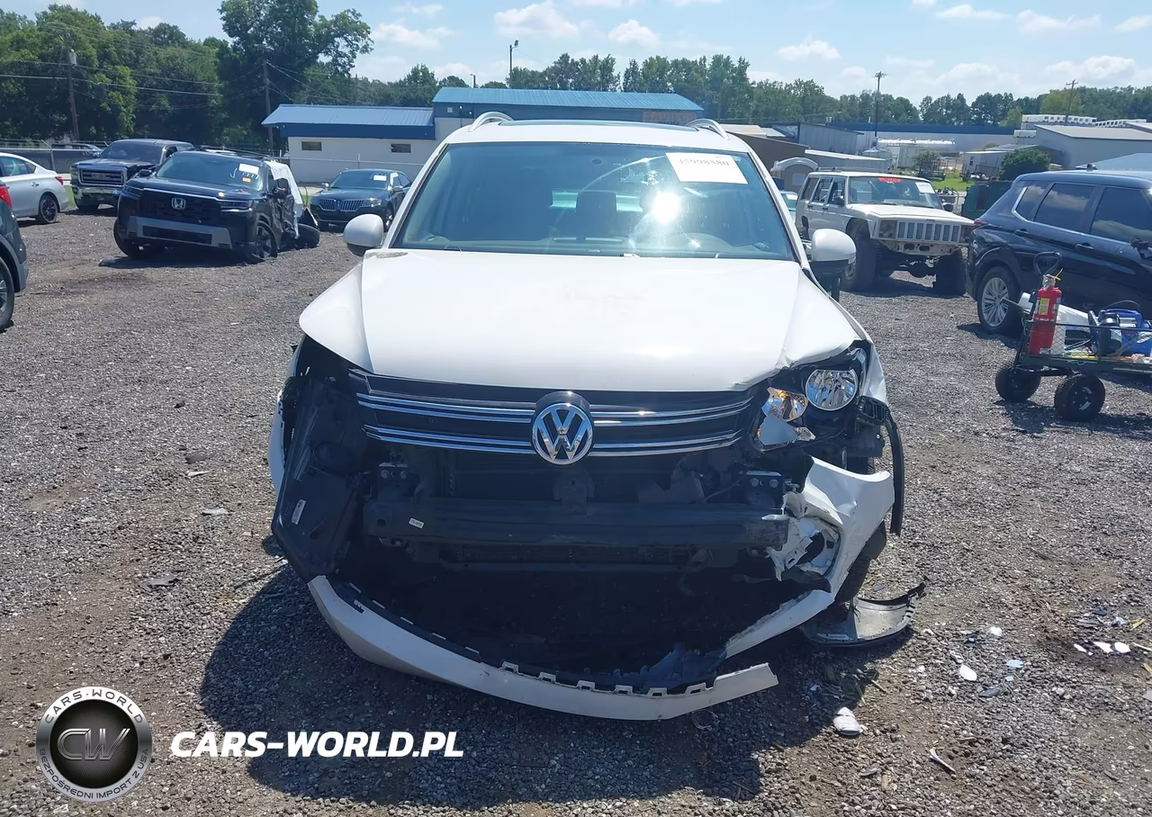 2013 Volkswagen Tiguan Se VIN:WVGAV7AX9DW547731 - 13