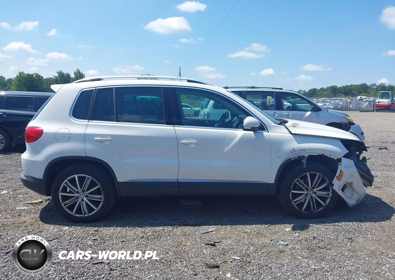 2013 Volkswagen Tiguan Se VIN:WVGAV7AX9DW547731 - 14