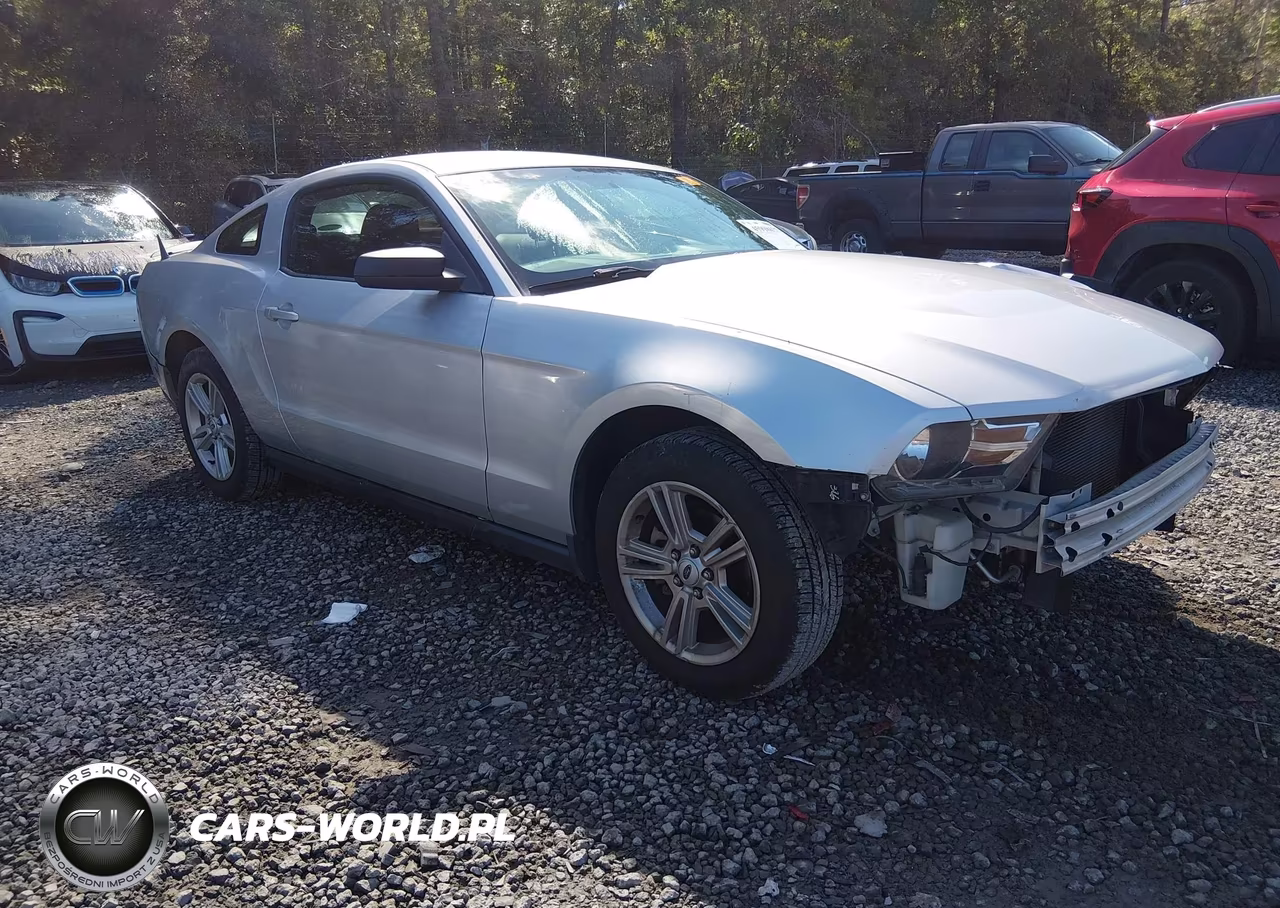 2010 Ford Mustang V6-V6 Premium