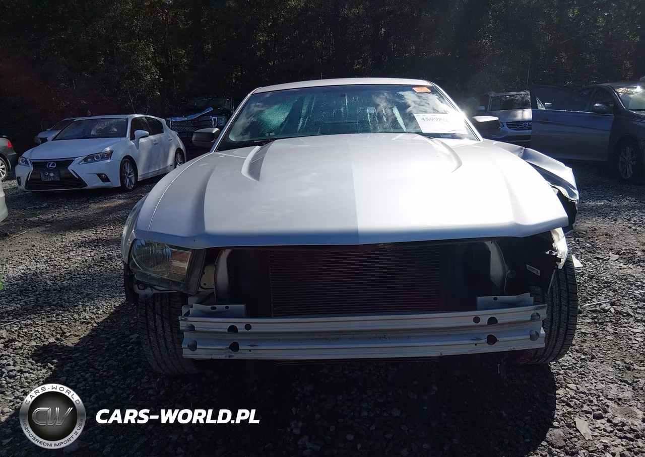 2010 Ford Mustang V6-V6 Premium VIN:1ZVBP8AN2A5160394 - 12