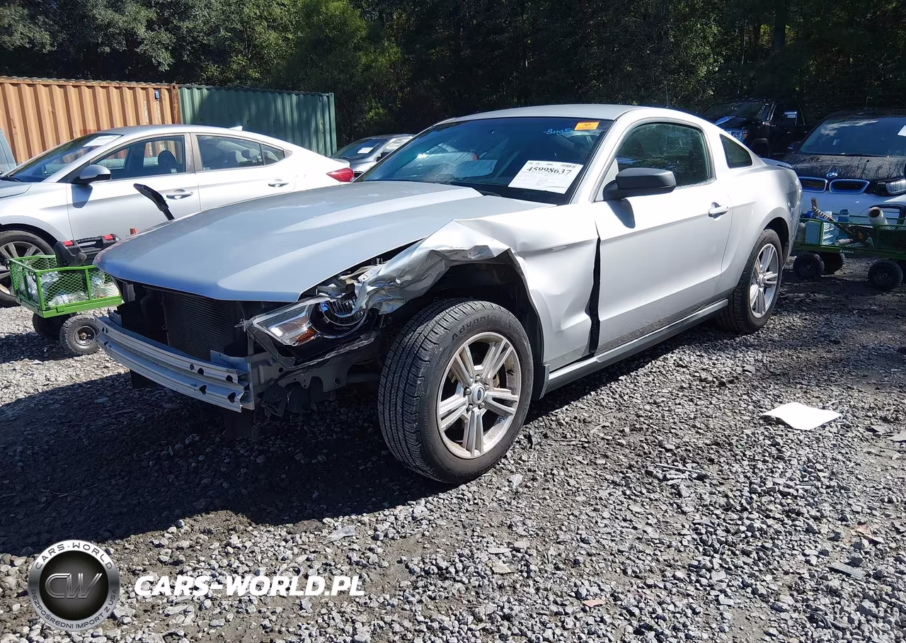 2010 Ford Mustang V6-V6 Premium VIN:1ZVBP8AN2A5160394 - 2
