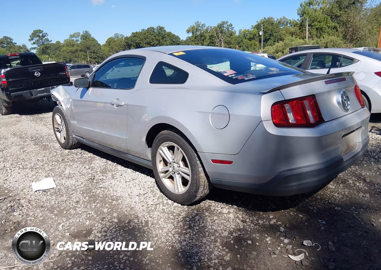 2010 Ford Mustang V6-V6 Premium VIN:1ZVBP8AN2A5160394 - 3