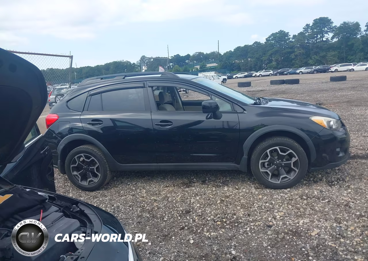 2014 Subaru Xv Crosstrek 2.0I Premium VIN:JF2GPACC0E8231593 - 13