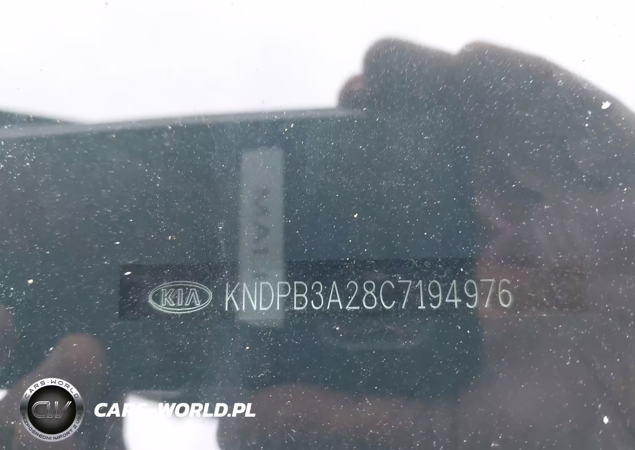 2012 Kia Sportage Lx VIN:KNDPB3A28C7194976 - 9
