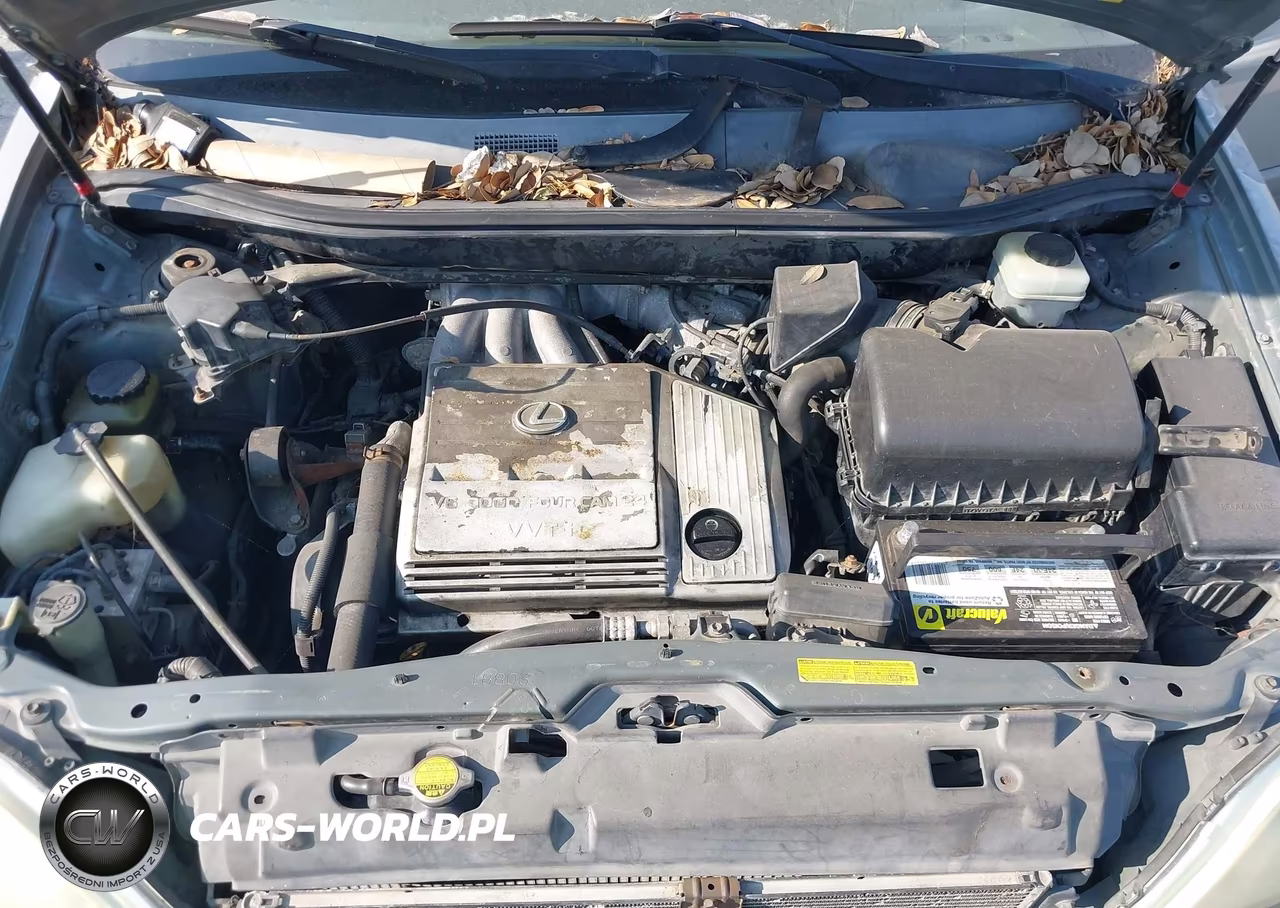 2001 Lexus Rx 300 VIN:JTJGF10U010112155 - 10