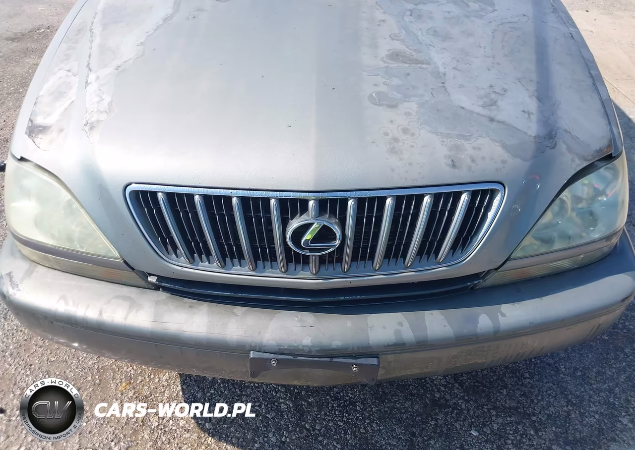 2001 Lexus Rx 300 VIN:JTJGF10U010112155 - 6