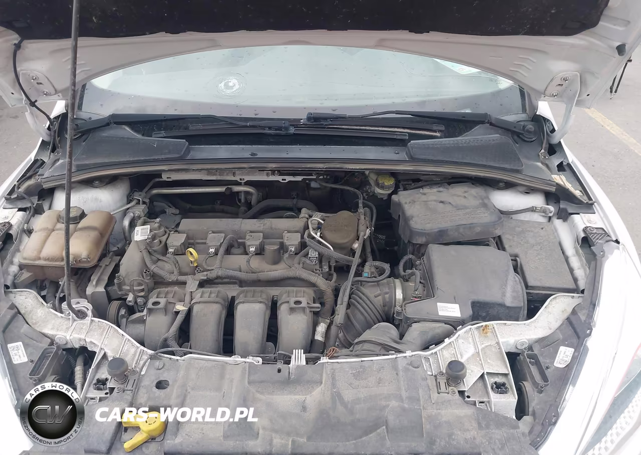 2015 Ford Focus Se VIN:1FADP3F25FL202630 - 10