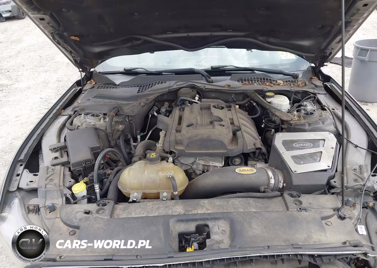 2015 Ford Mustang Ecoboost VIN:1FA6P8TH2F5411150 - 10