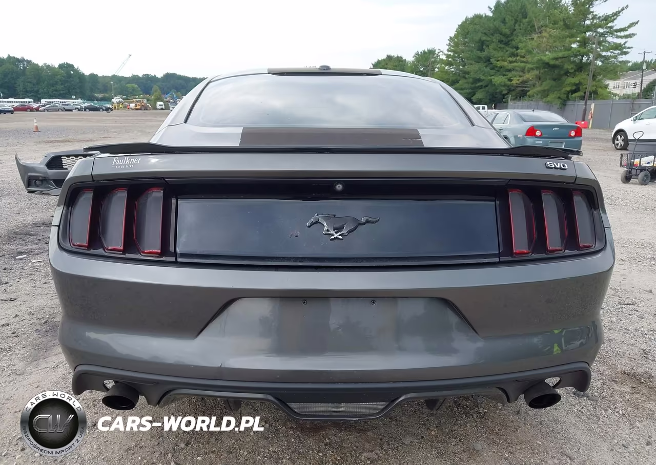 2015 Ford Mustang Ecoboost VIN:1FA6P8TH2F5411150 - 17