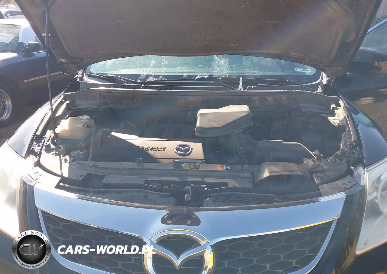 2012 Mazda Cx-9 Touring VIN:JM3TB3CAXC0338949 - 10