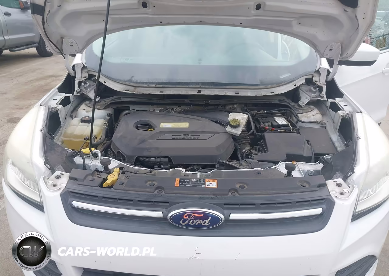 2014 Ford Escape Se VIN:1FMCU0GX9EUC68822 - 10