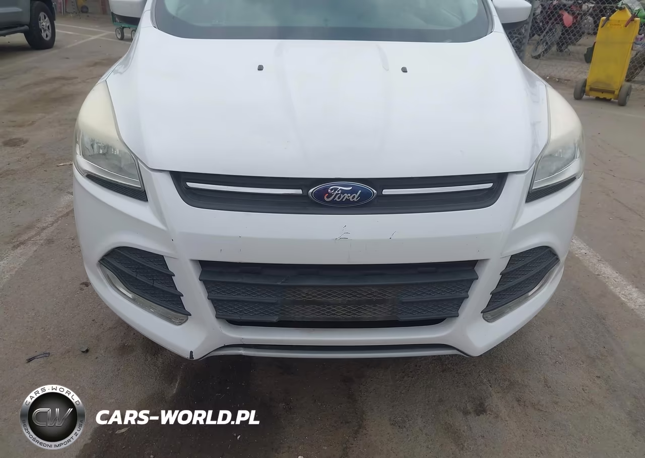 2014 Ford Escape Se VIN:1FMCU0GX9EUC68822 - 12
