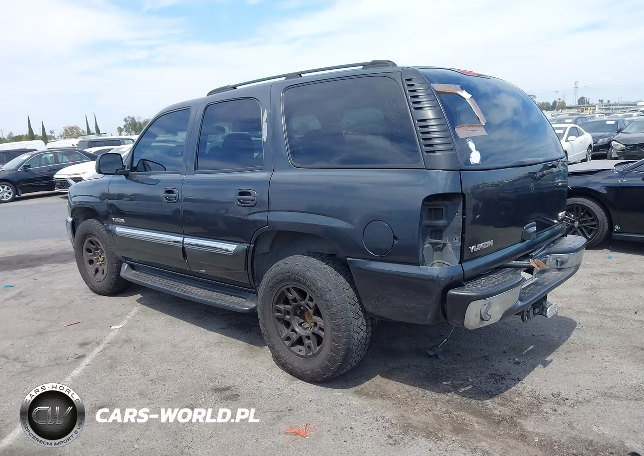 2003 GMC Yukon Sle VIN:1GKEC13T13R312521 - 3