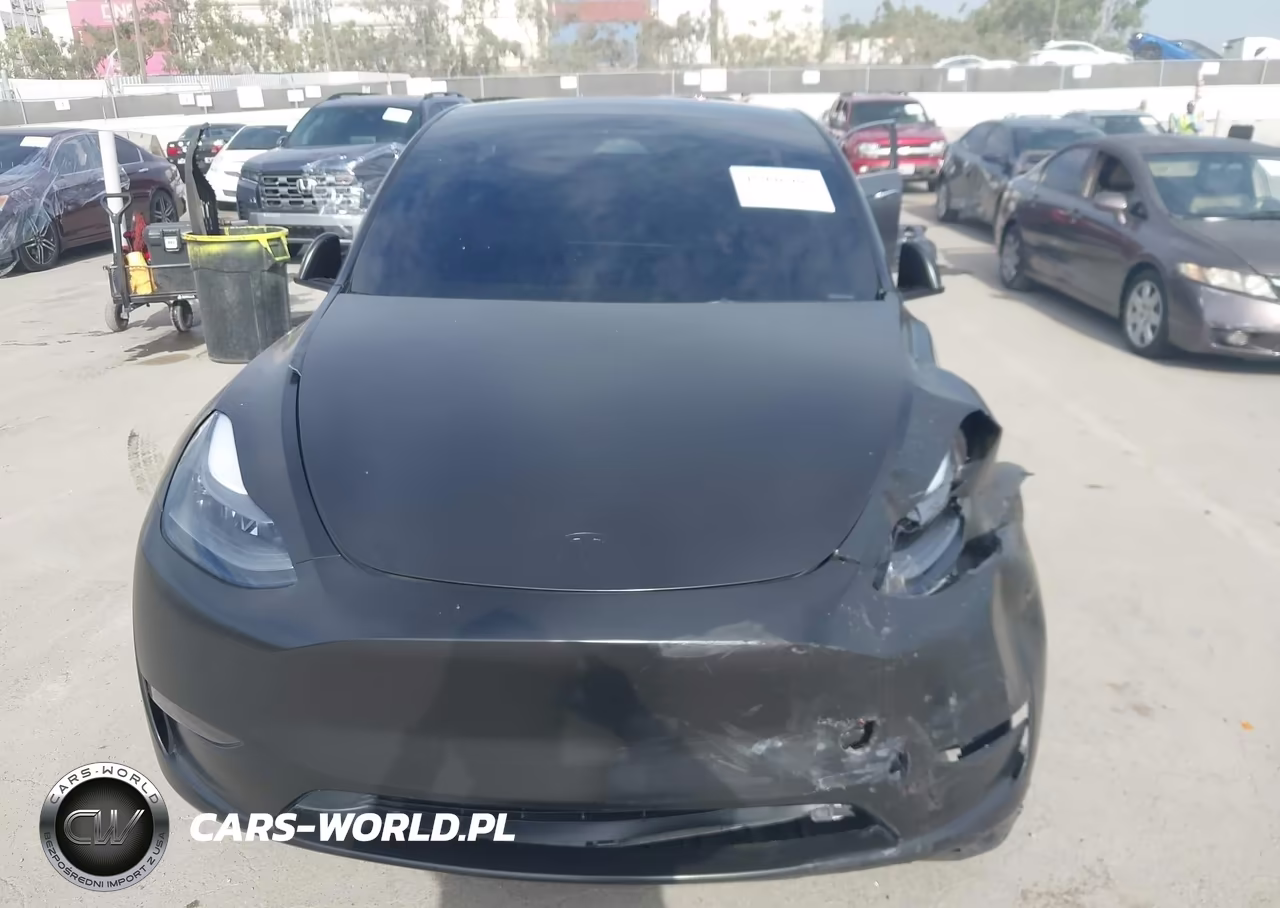 2023 Tesla Model Y Performance Dual Motor All-Wheel Drive VIN:7SAYGDEF6PF806538 - 11