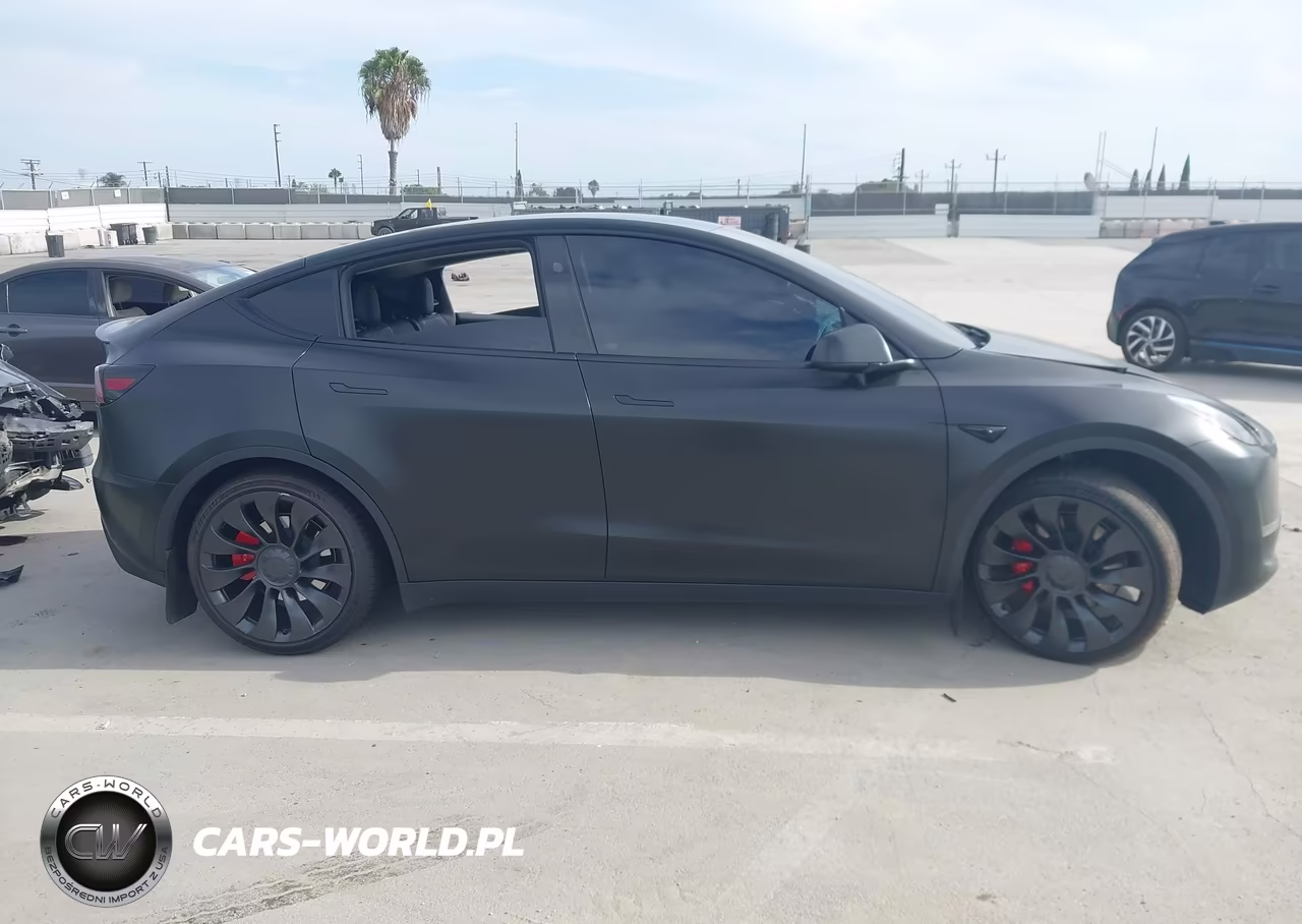 2023 Tesla Model Y Performance Dual Motor All-Wheel Drive VIN:7SAYGDEF6PF806538 - 12
