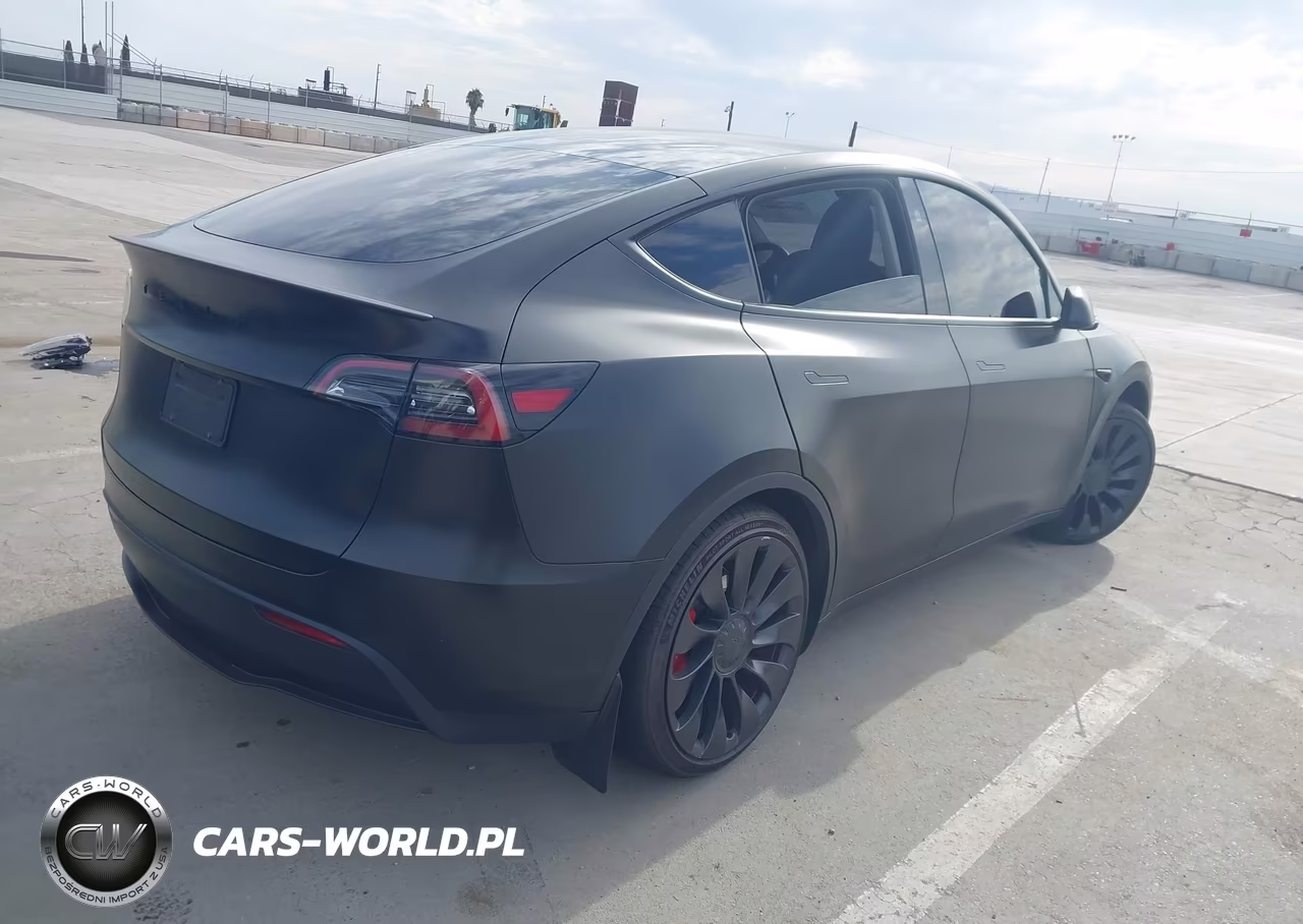 2023 Tesla Model Y Performance Dual Motor All-Wheel Drive VIN:7SAYGDEF6PF806538 - 4
