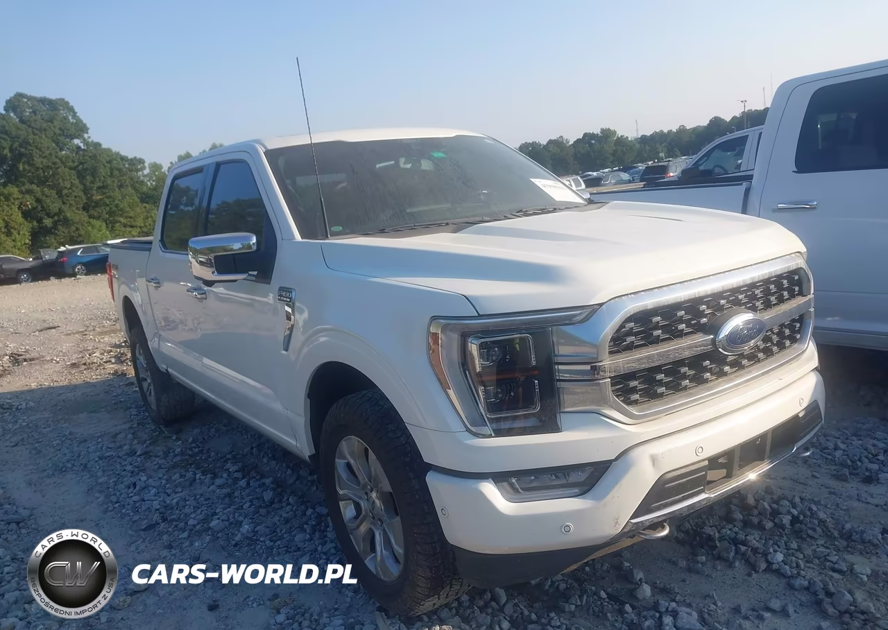 2021 Ford F-150 Platinum VIN:1FTFW1E82MFB74233 - 1
