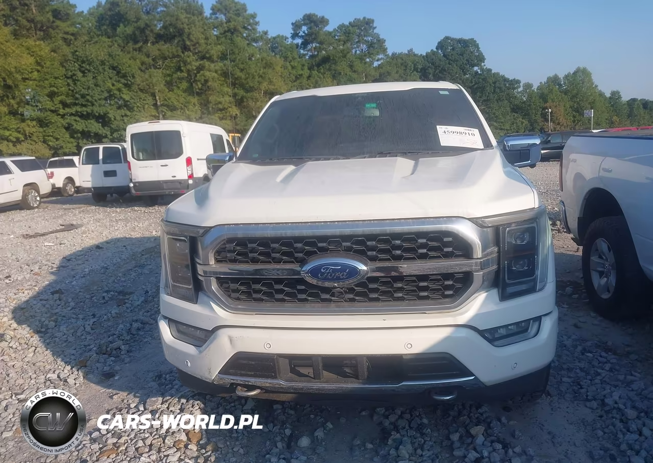 2021 Ford F-150 Platinum VIN:1FTFW1E82MFB74233 - 12