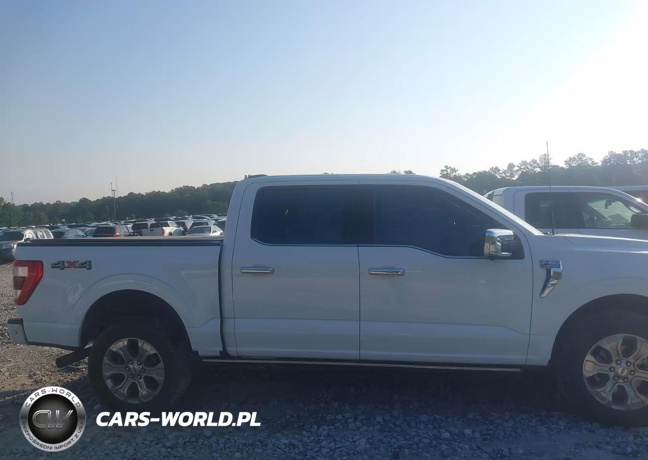 2021 Ford F-150 Platinum VIN:1FTFW1E82MFB74233 - 13