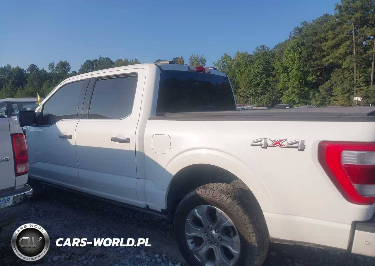 2021 Ford F-150 Platinum VIN:1FTFW1E82MFB74233 - 14