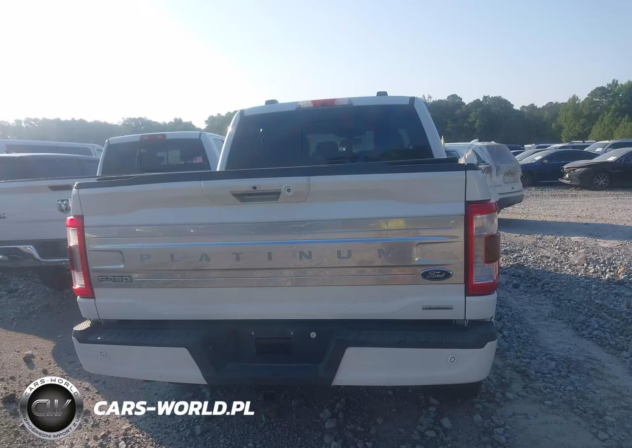 2021 Ford F-150 Platinum VIN:1FTFW1E82MFB74233 - 16