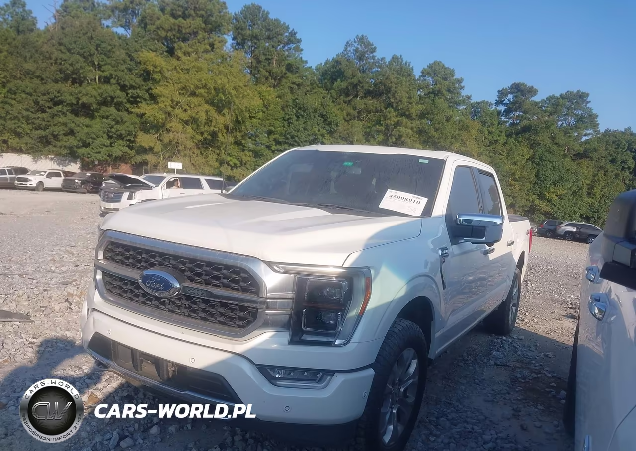 2021 Ford F-150 Platinum VIN:1FTFW1E82MFB74233 - 2