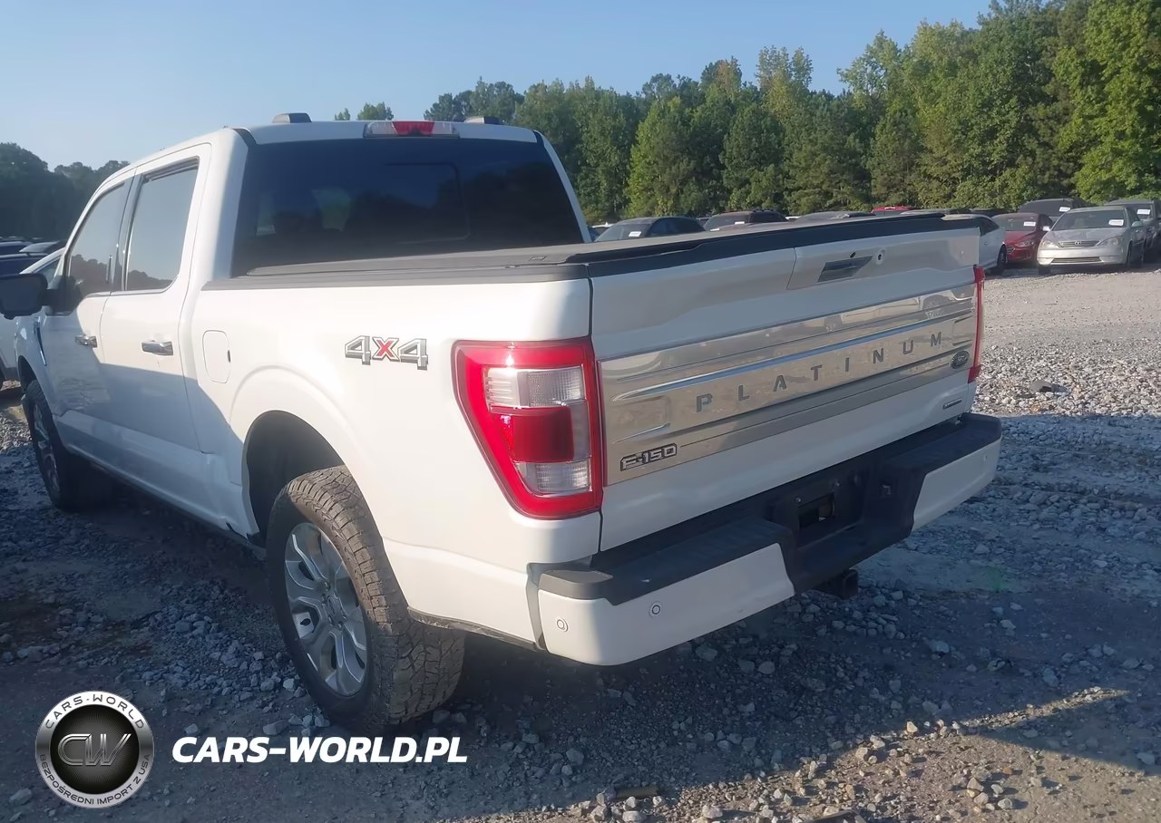 2021 Ford F-150 Platinum VIN:1FTFW1E82MFB74233 - 3